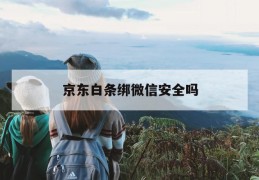 京东白条绑微信安全吗