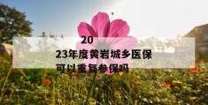 
       2023年度黄岩城乡医保可以重复参保吗
     