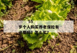 
       55岁个人购买养老保险有必要吗？怎么买？
     