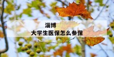 
       淄博大学生医保怎么参保
     