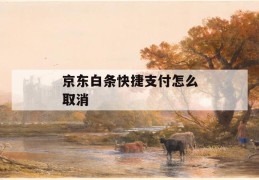 京东白条快捷支付怎么取消