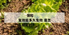 
       保险复效后多久生效 是怎么规定的
     