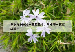 羊小咩16000一直放款中，羊小咩一直在放款中