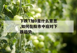 下跌t加0是什么意思,如何在股市中应对下跌趋势