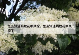 怎么知道蚂蚁花呗风控，怎么知道蚂蚁花呗风控了