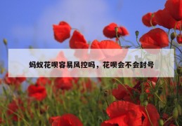 蚂蚁花呗容易风控吗，花呗会不会封号