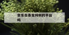 京东白条支持别的平台吗