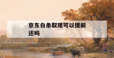 京东白条取现可以提前还吗