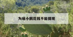 为啥小鹅花钱不能提现