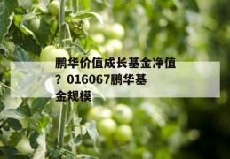 鹏华价值成长基金净值？016067鹏华基金规模