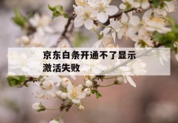 京东白条开通不了显示激活失败