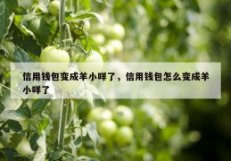 信用钱包变成羊小咩了，信用钱包怎么变成羊小咩了