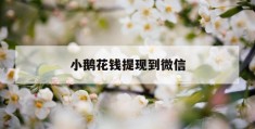 小鹅花钱提现到微信