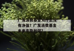 广发消费基金为什么没有净值？广发消费基金未来走势如何？