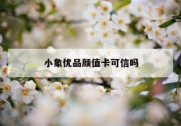 小象优品颜值卡可信吗