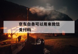 京东白条可以用来微信支付吗