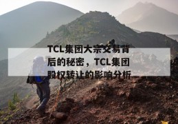 tcl集团大宗交易背后的秘密，tcl集团股权转让的影响分析