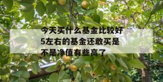 今天买什么基金比较好5左右的基金还敢买是不是净值有些高了