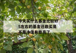 今天买什么基金比较好5左右的基金还敢买是不是净值有些高了