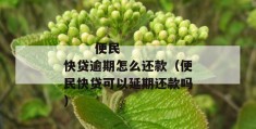 
       便民快贷逾期怎么还款（便民快贷可以延期还款吗）
     