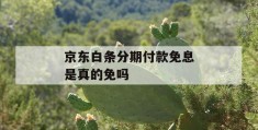 京东白条分期付款免息是真的免吗