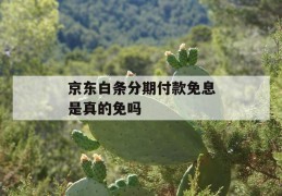 京东白条分期付款免息是真的免吗