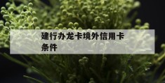 建行办龙卡境外信用卡条件