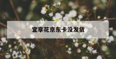 宜享花京东卡没发货