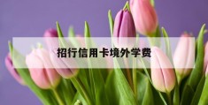 招行信用卡境外学费