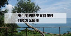 支付宝扫码不支持花呗付款怎么回事