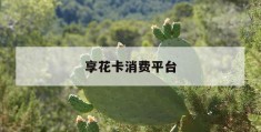 享花卡消费平台