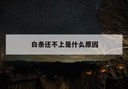 白条还不上是什么原因