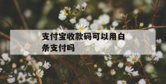 支付宝收款码可以用白条支付吗