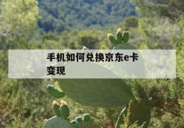 手机如何兑换京东e卡变现