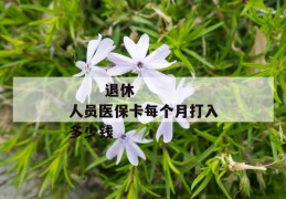 
       退休人员医保卡每个月打入多少钱
     