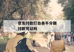 京东付款打白条不分期付款可以吗