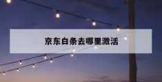 京东白条去哪里激活