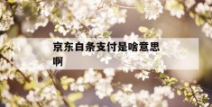 京东白条支付是啥意思啊