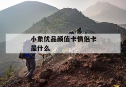 小象优品颜值卡情侣卡是什么