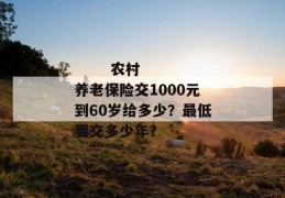 
       农村养老保险交1000元到60岁给多少？最低要交多少年？
     