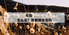 
       车险怎么买？需要哪些资料？
     