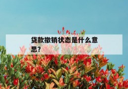 贷款撤销状态是什么意思？