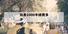 白条1000手续费多少