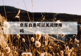 京东白条可以关闭使用吗