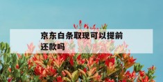 京东白条取现可以提前还款吗