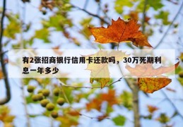 有2张招商银行信用卡还款吗，30万死期利息一年多少