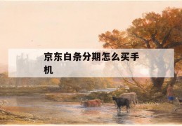 京东白条分期怎么买手机