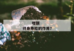 
       增额终身寿险的作用？
     