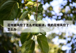 花呗被风控了怎么才能解决，我的花呗风控了怎么办