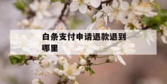 白条支付申请退款退到哪里